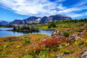 Sunshine Meadows-4000 Sunshine Meadows-4000